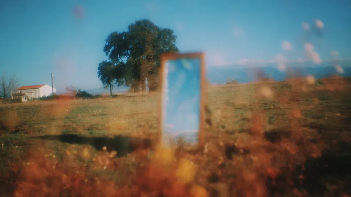 A very literal mirror A mirror