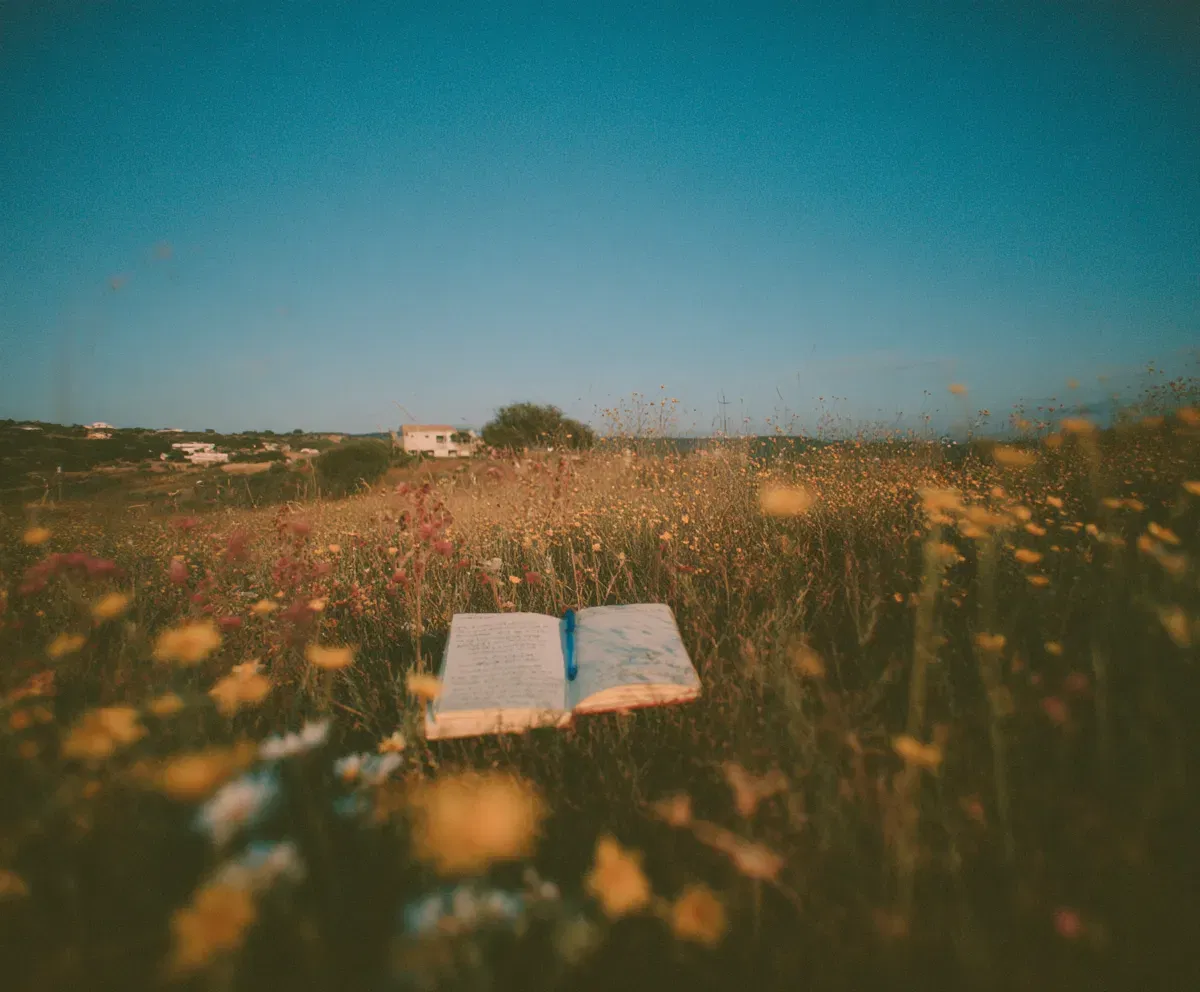 Writing challenge Week 2 - Best blog posts included