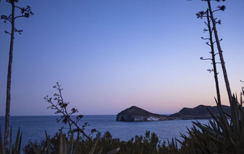 Una Constellation de side-projects