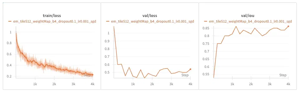 Baseline on the EM Dataset