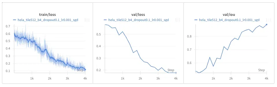 Baseline on the DIC-HeLa Dataset
