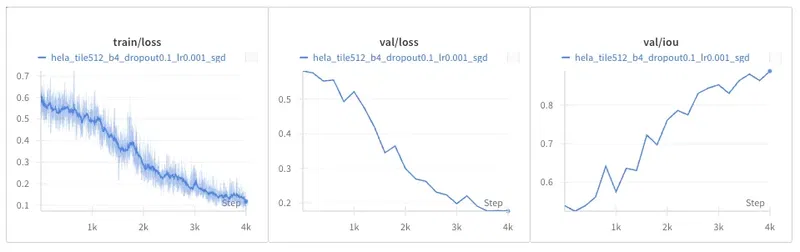 Baseline on the DIC-HeLa Dataset