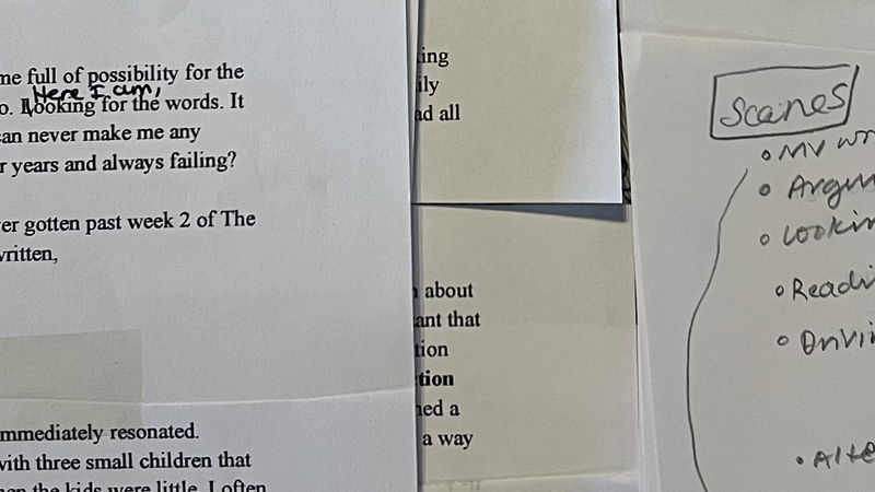 Resisting a Future of "Write-Nots"