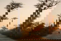 You Can’t Out-Logic a Developer