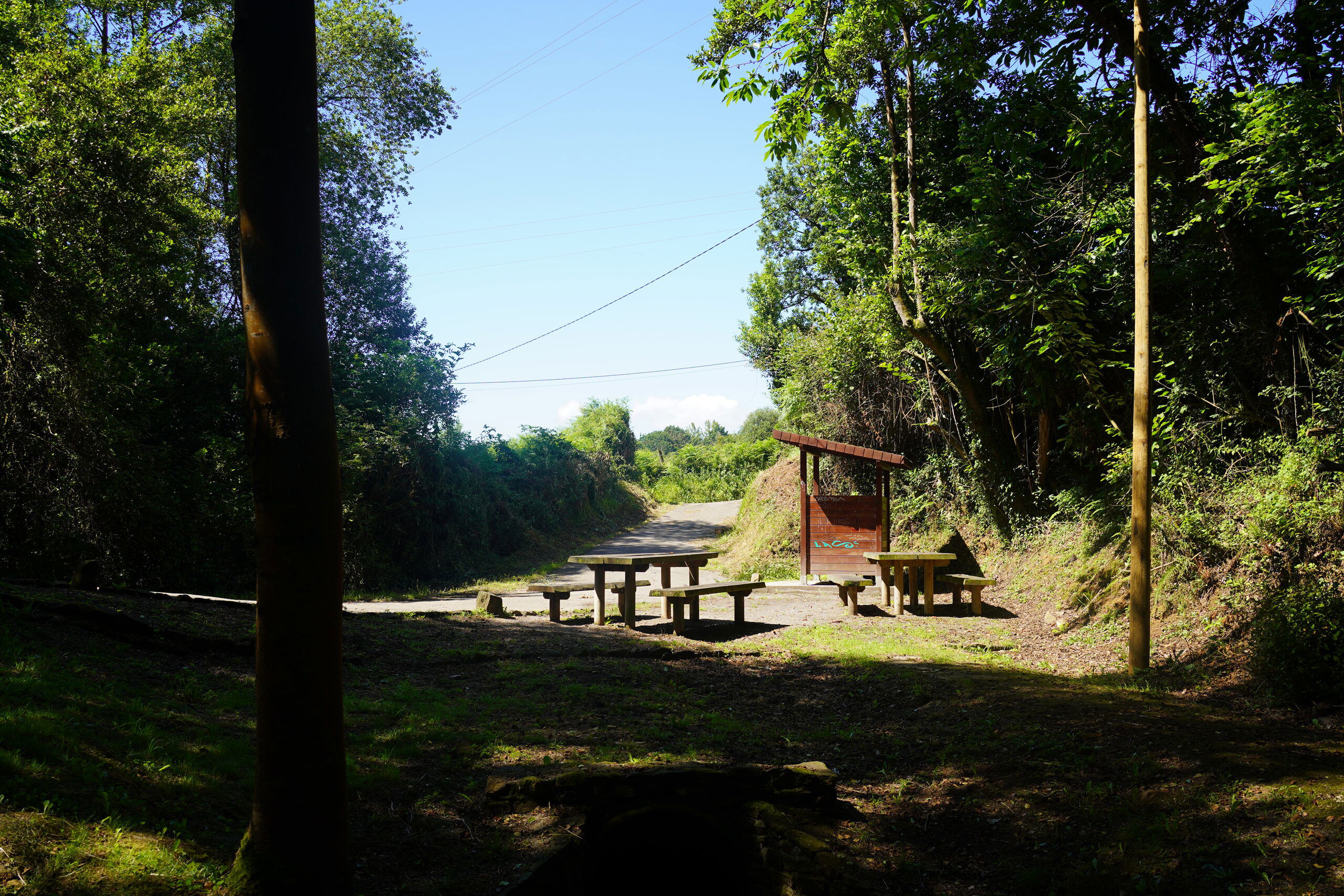 Do you write without readers? 