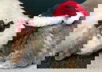 For you on this warm Christmas Eve. 