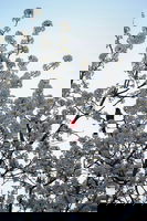 One Foot In Front of the Other