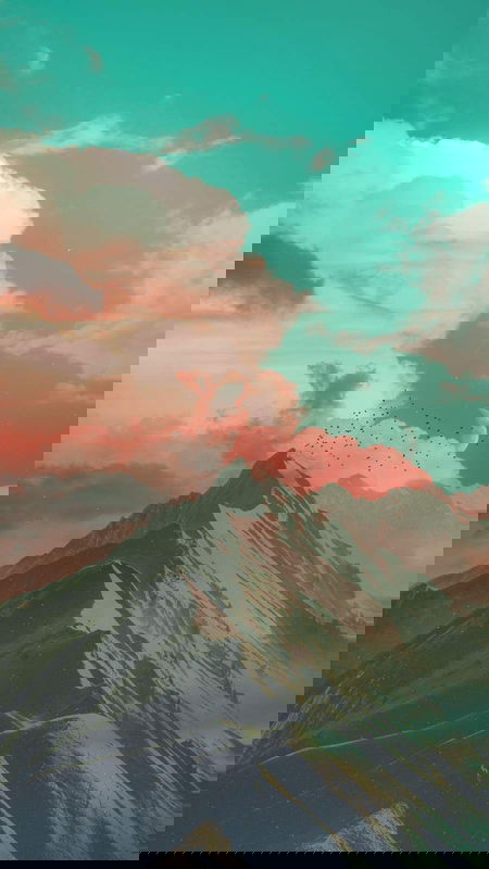 the last man who looked up
