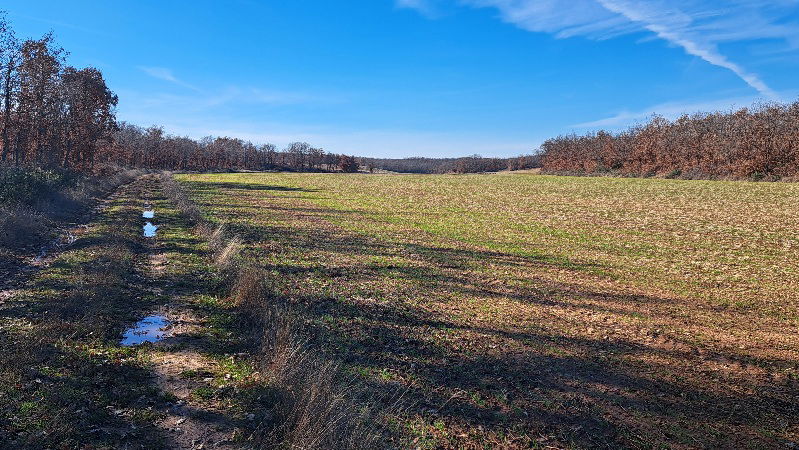 Despoblada, no: espaciosa