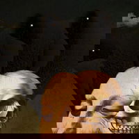 El Inicio de lo Efímero 