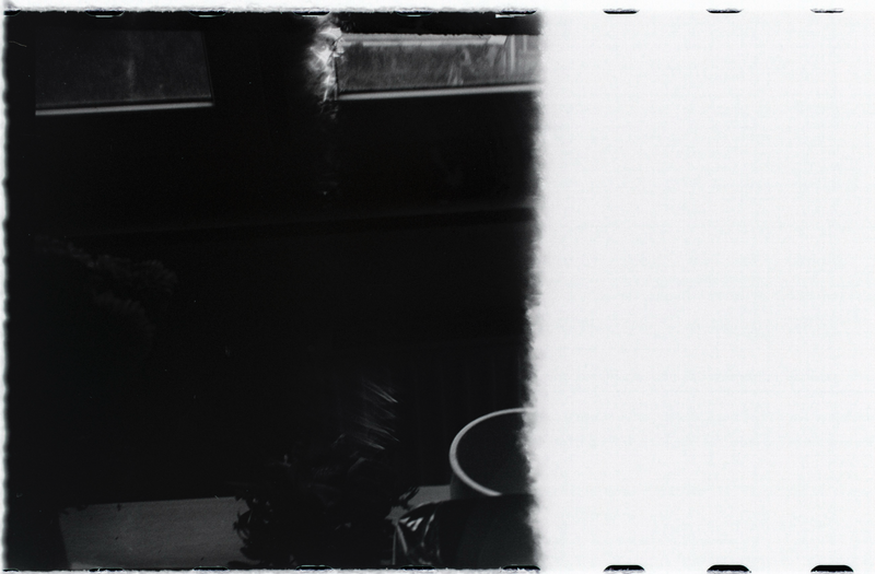 Qué he estado haciendo este enero de 2026