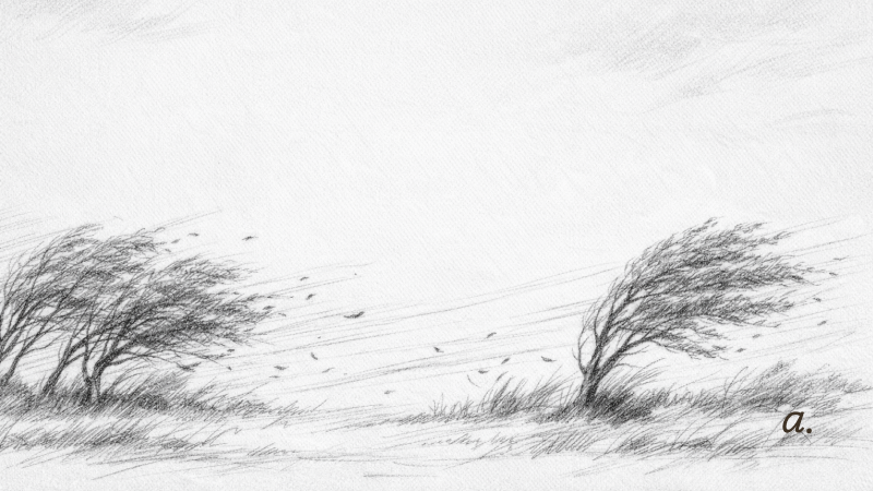 Lo que el viento no se llevó