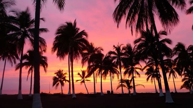 Who else is making 2026 the new 2016?