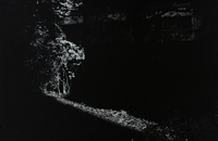 La música, el desfile, el encuentro