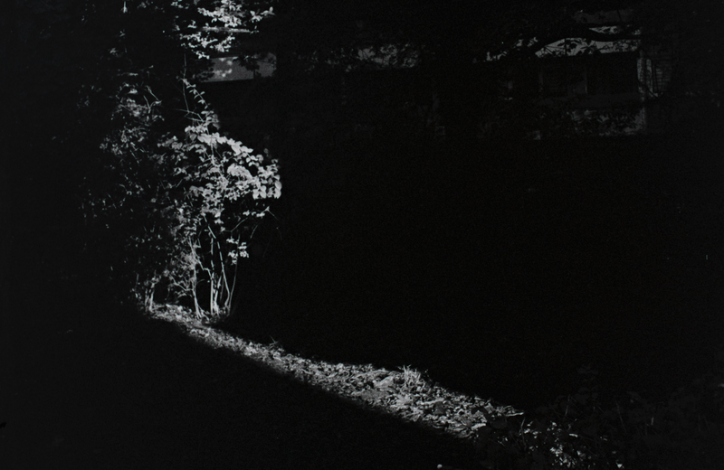 La música, el desfile, el encuentro