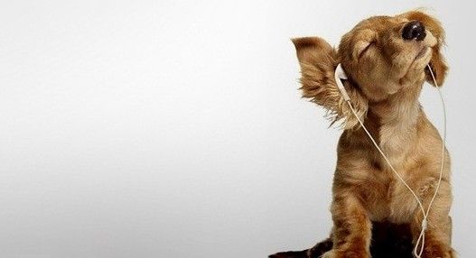 Music! Music! Music!