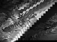 The forbidden fruit catastrophe 