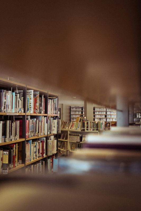 🧠 L’importance de l’éducation dans la vie 📚