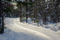 Lessons in Pulling Over