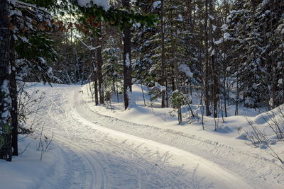 Lessons in Pulling Over