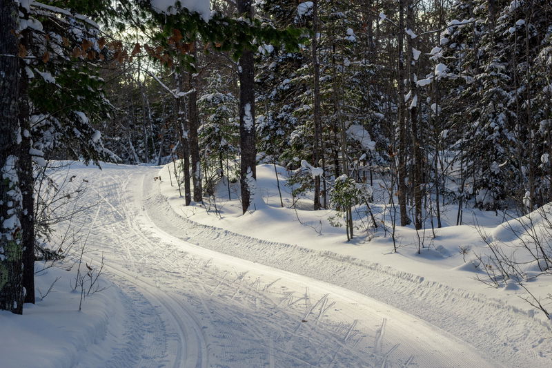 Lessons in Pulling Over