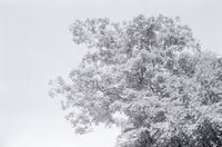 Cagar viendo memes es una de esas cosas que echaré de menos después del apocalipsis