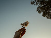 every moon holds a memory