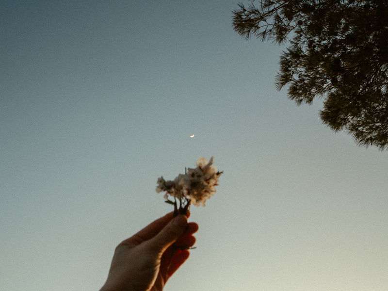 every moon holds a memory