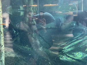 mai no arribaré a ser la persona que vull ser