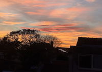 su come l'idea di "ciò che è giusto" ha segnato il mio percorso