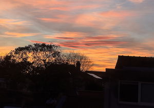 sobre com la idea del "que és correcte" ha marcat el meu camí