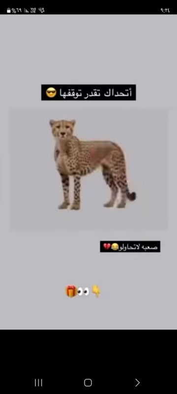 مساء الخير 