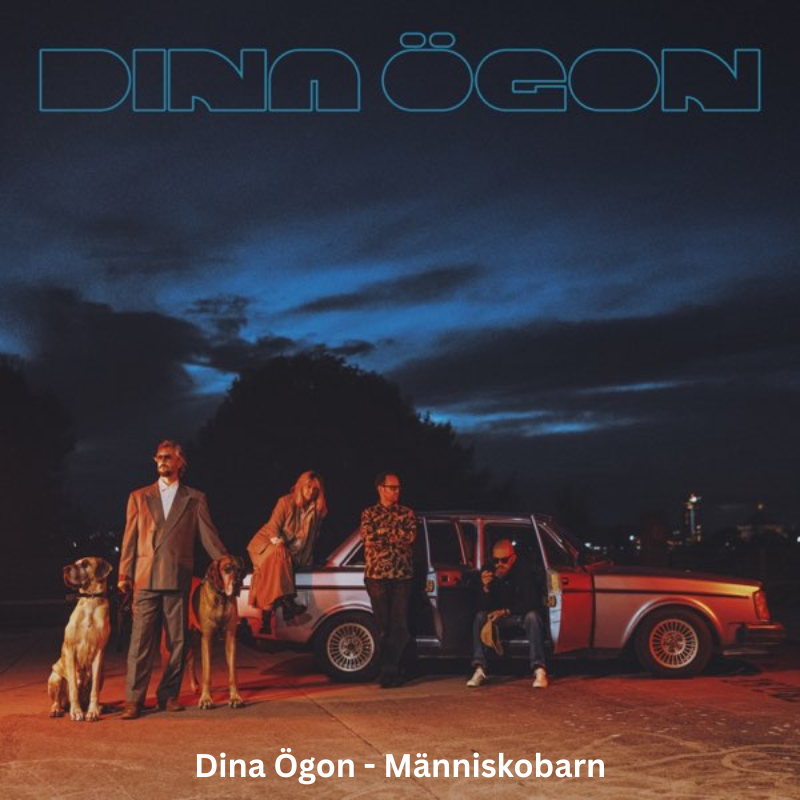 February 2026 Albums Collection