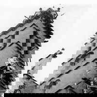 Si m'ajudeu llegiré aquest llibre mentre vosaltres "treballeu"...