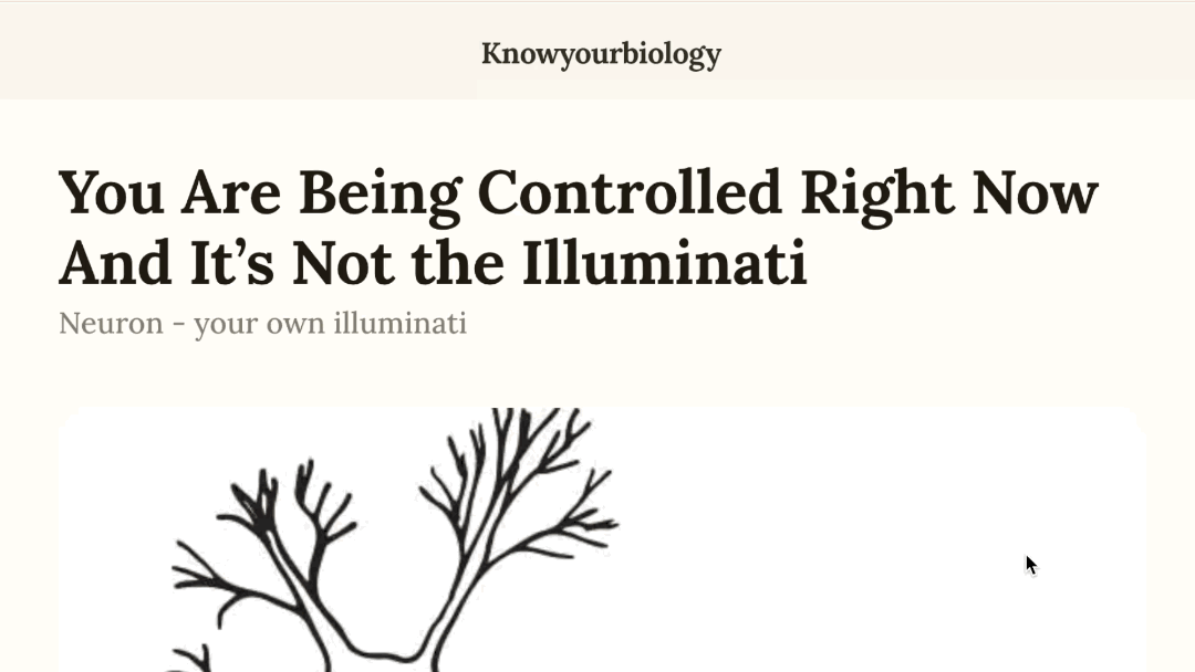 GIF que mostra como deixar um comentário no Fika