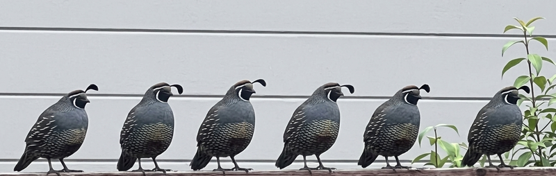 Welcome to Third Room Letters