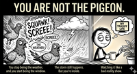 You are an apartment with a pigeon.