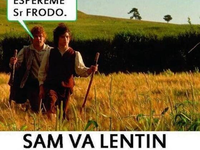 Idas, venidas e ideas