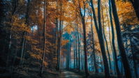 Naturaleza vs desarrollo 