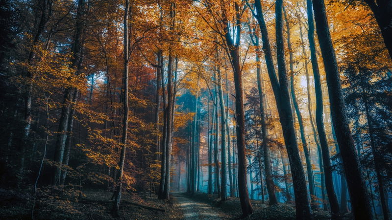 Naturaleza vs desarrollo 