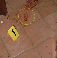 Garlasco: Tracce con geometrie a “V”:

        Perché ora fanno tanta paura?