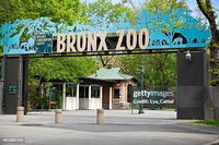  The Trip To The Zoo