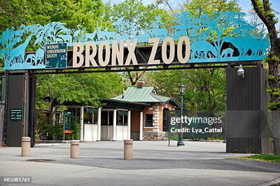 The Trip To The Zoo