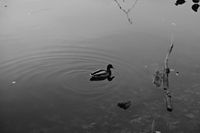 you're allowed to test the deep waters,