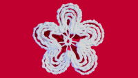 A white flower