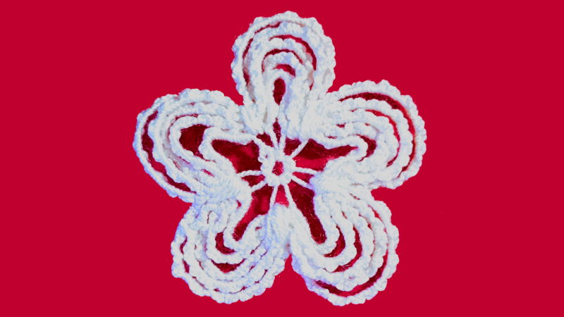 A white flower