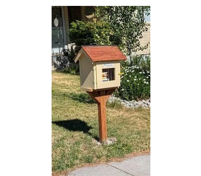 Setting Up a Low-Cost Neighborhood Library