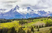 Montana