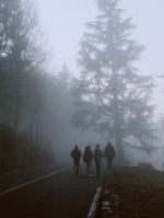 The Zombie Curse