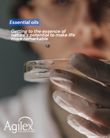 The Internal Disconnect That Quietly Undermines Most Fragrance Launches
